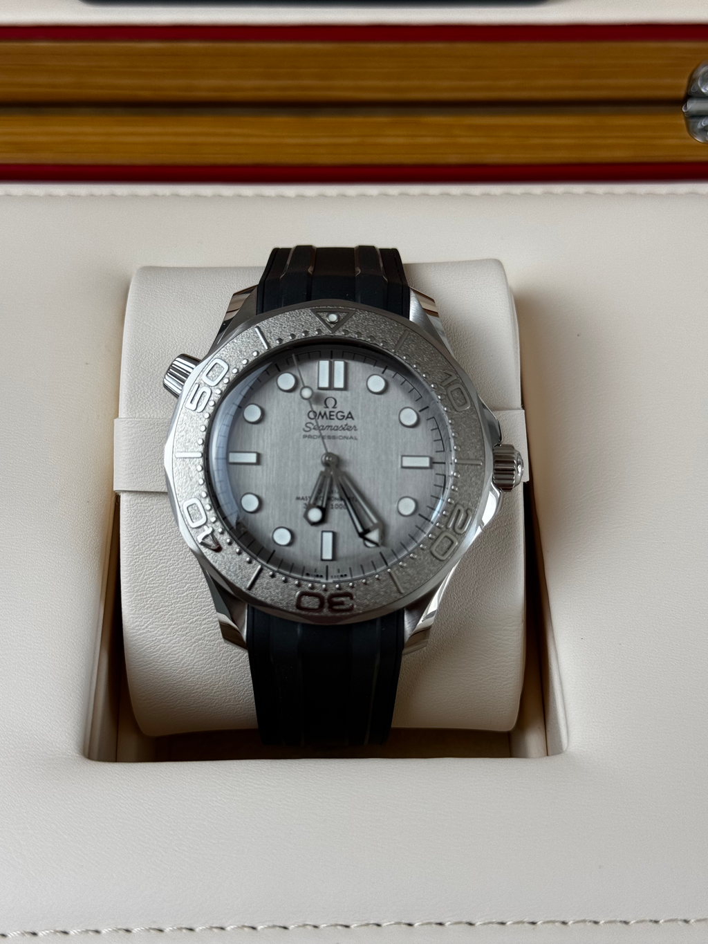 Omega Seamaster Diver 300 Professional | 2025 | Full Set | Titanium Bezel | Mint