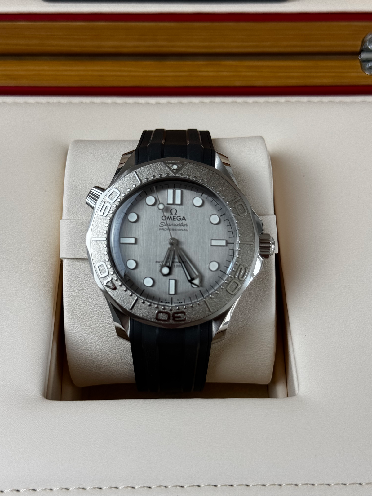 Omega Seamaster Diver 300 Professional | 2025 | Full Set | Titanium Bezel | Mint