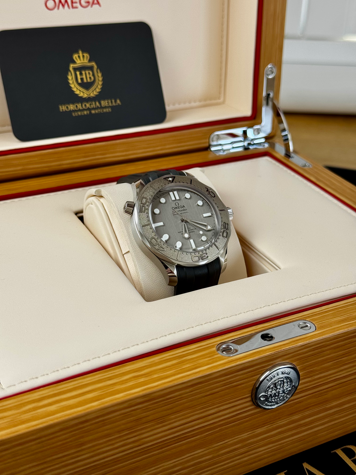 Omega Seamaster Diver 300 Professional | 2025 | Full Set | Titanium Bezel | Mint image 10