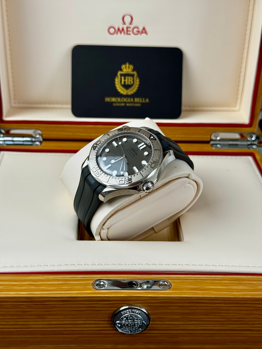 Omega Seamaster Diver 300 Professional | 2025 | Full Set | Titanium Bezel | Mint image 7