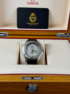 Omega Seamaster Diver 300 Professional | 2025 | Full Set | Titanium Bezel | Mint image 16